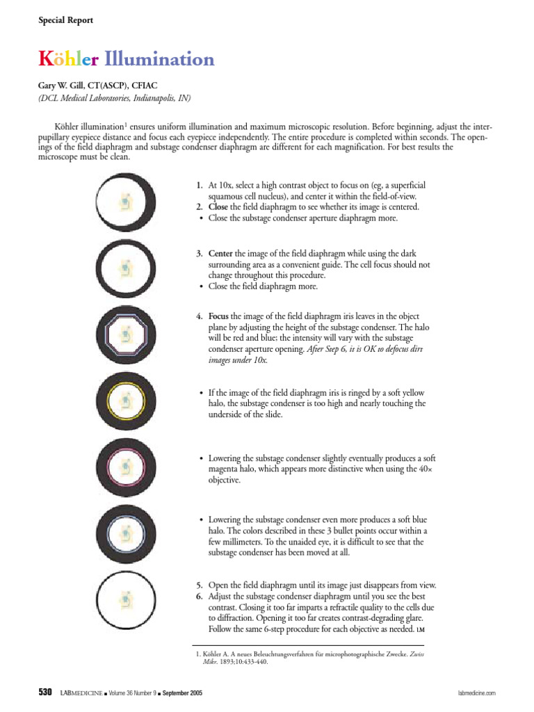 Köhler Illumination Procedure for Microscopes | PDF | Optics | Vision