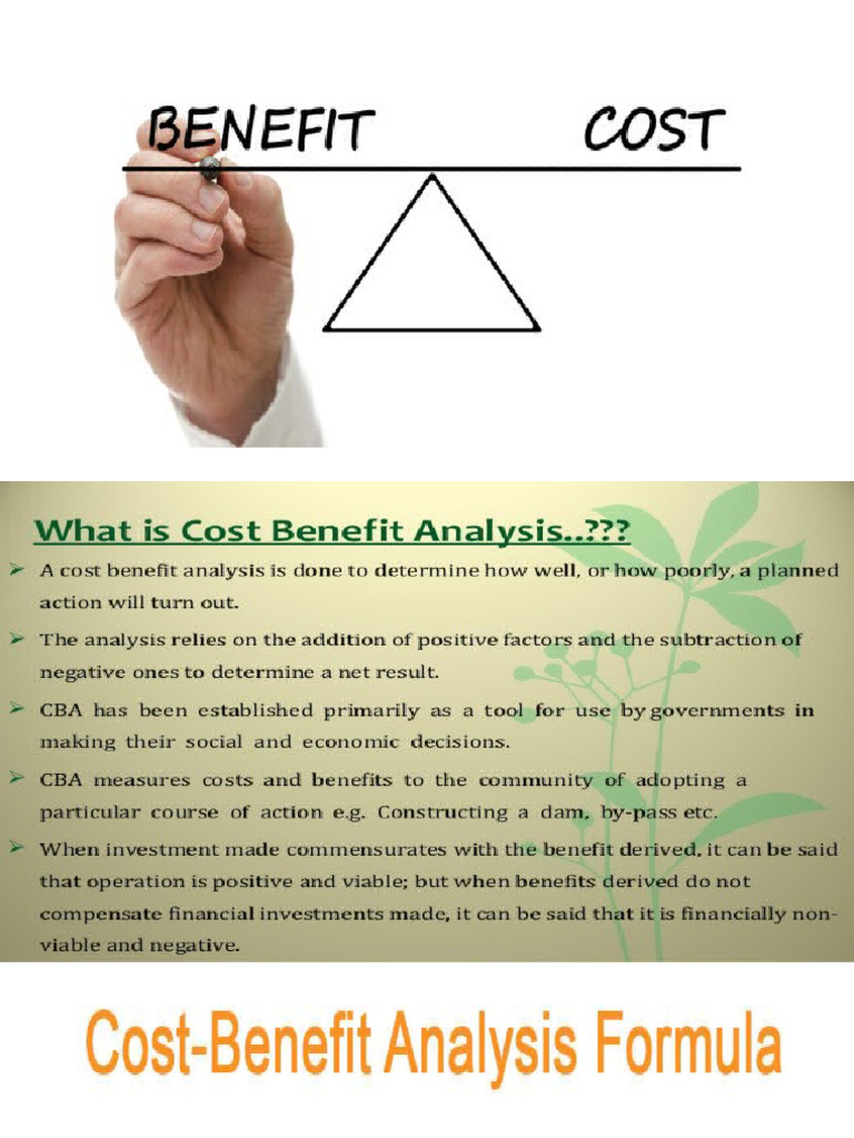BC Ratio | PDF
