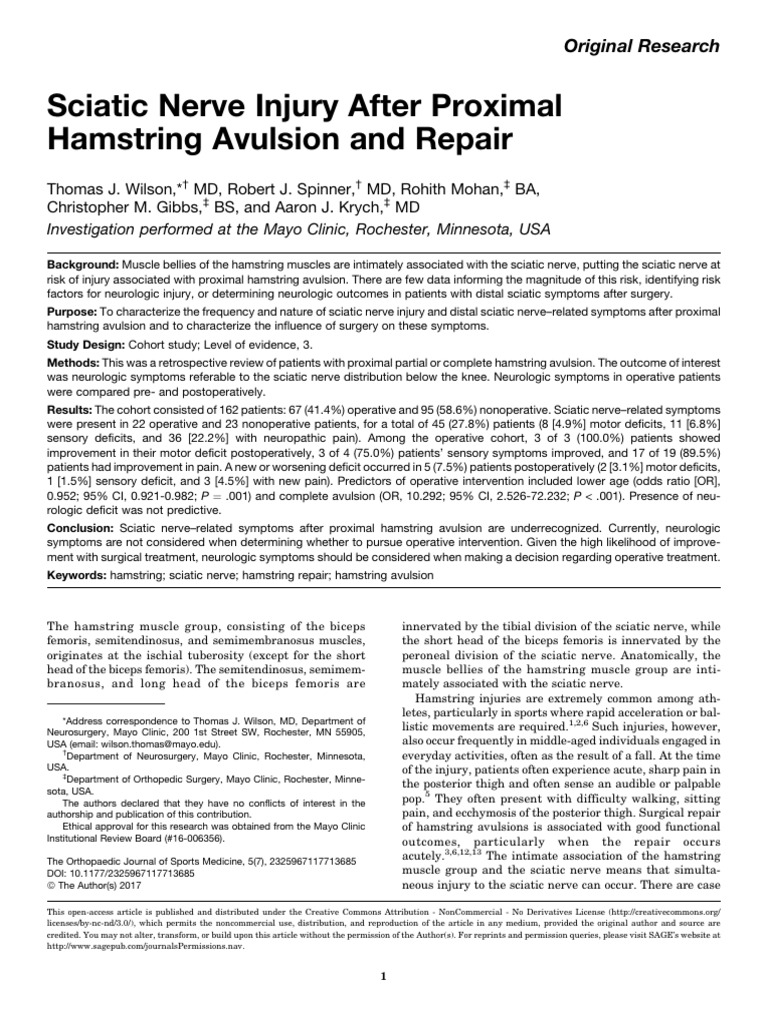 Sciatic Nerve Injury After Proximal Hamstring Avul | PDF | Pain ...