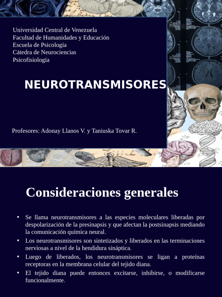 Neurotransmisores: Tipos y Mecanismos | PDF | Sinapsis | Neurotransmisor