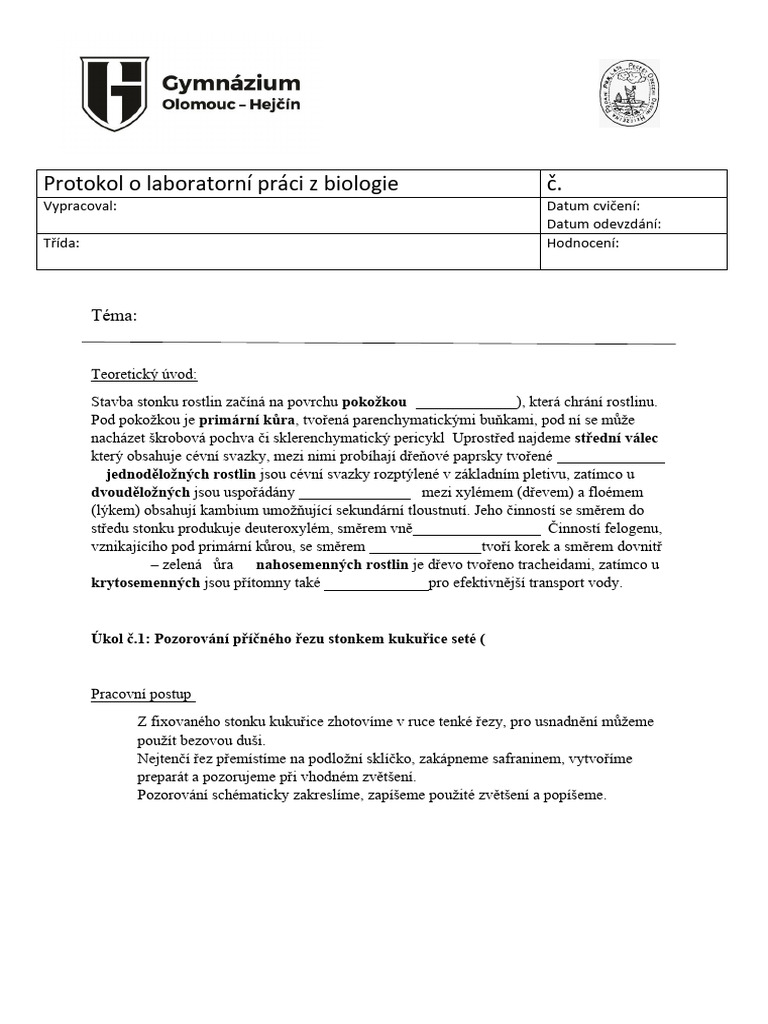 Protokol Stonek | PDF