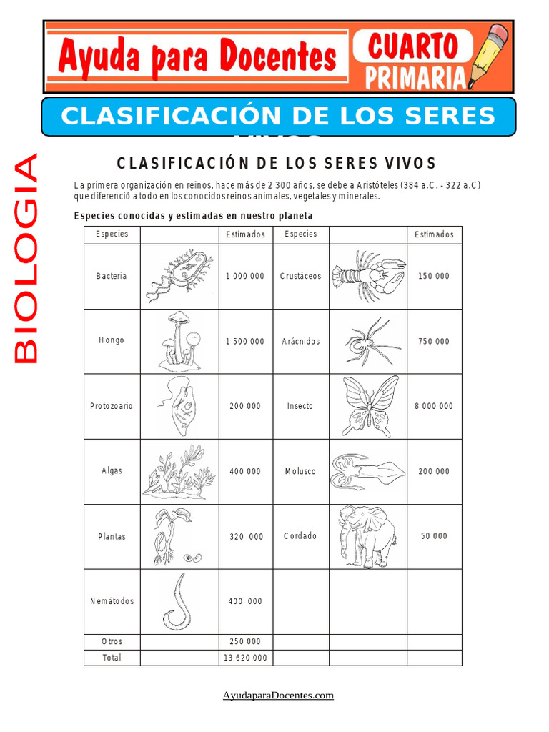Clasificacion de Los Seres Vivos para Cuarto de Primaria | PDF