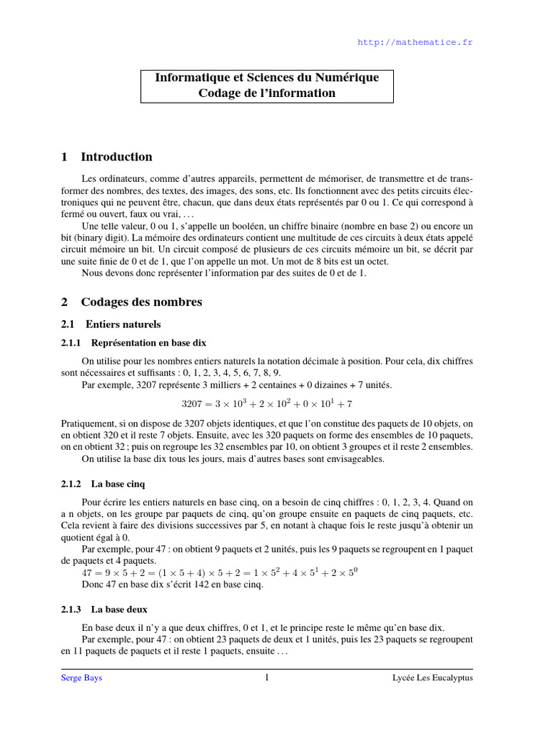 Codage binaire et bases numériques | PDF | Image numérique | ASCII