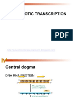 Prokaryotic Transcription