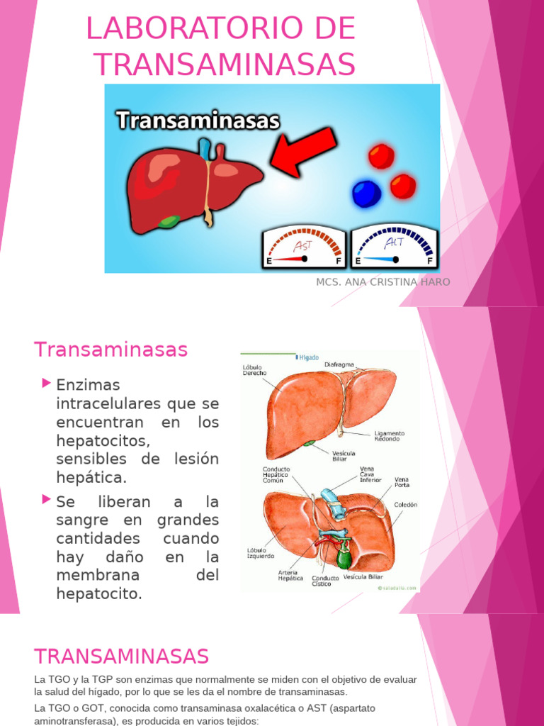 Laboratorio de Transaminasas | PDF