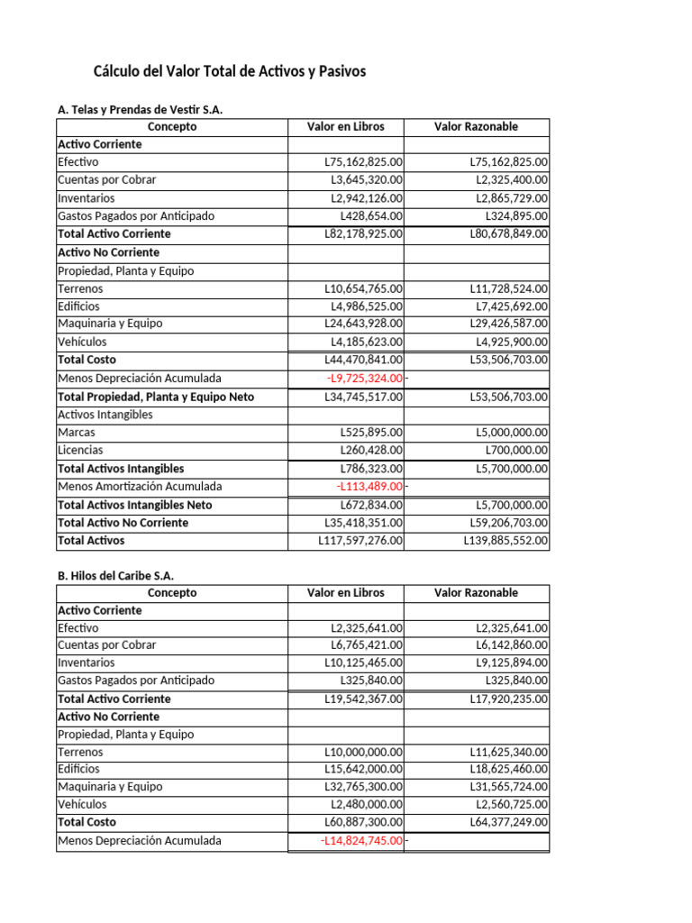 Fusion Pdf Activo Fijo Presupuesto De Capital