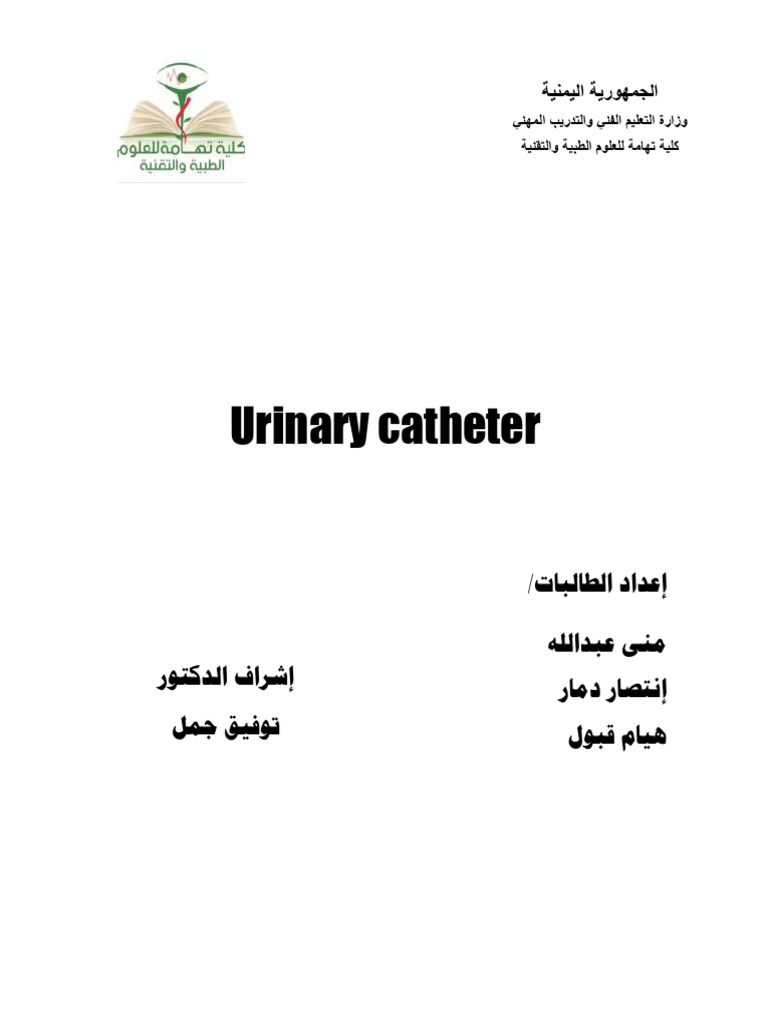 Understanding Urinary Catheters: Uses & Risks | PDF | Urinary Tract ...