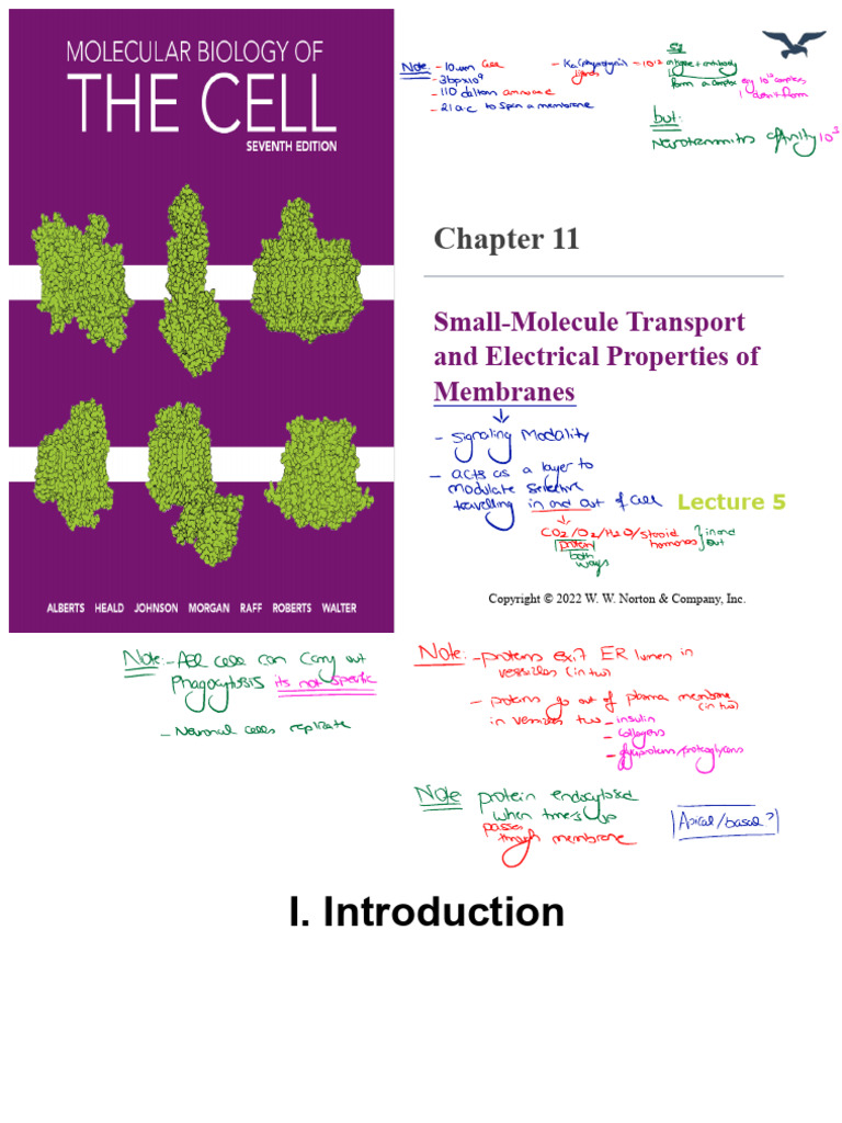Lecture+05-2023+Spring | PDF | Cell Membrane | Biology
