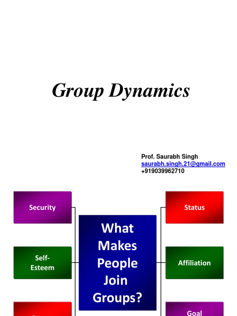 Group Dynamics | PDF | Norm (Social) | Leadership