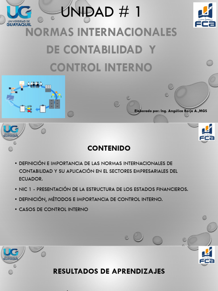 Normas de Control Interno y NIC 1 | PDF | normas internacionales de ...