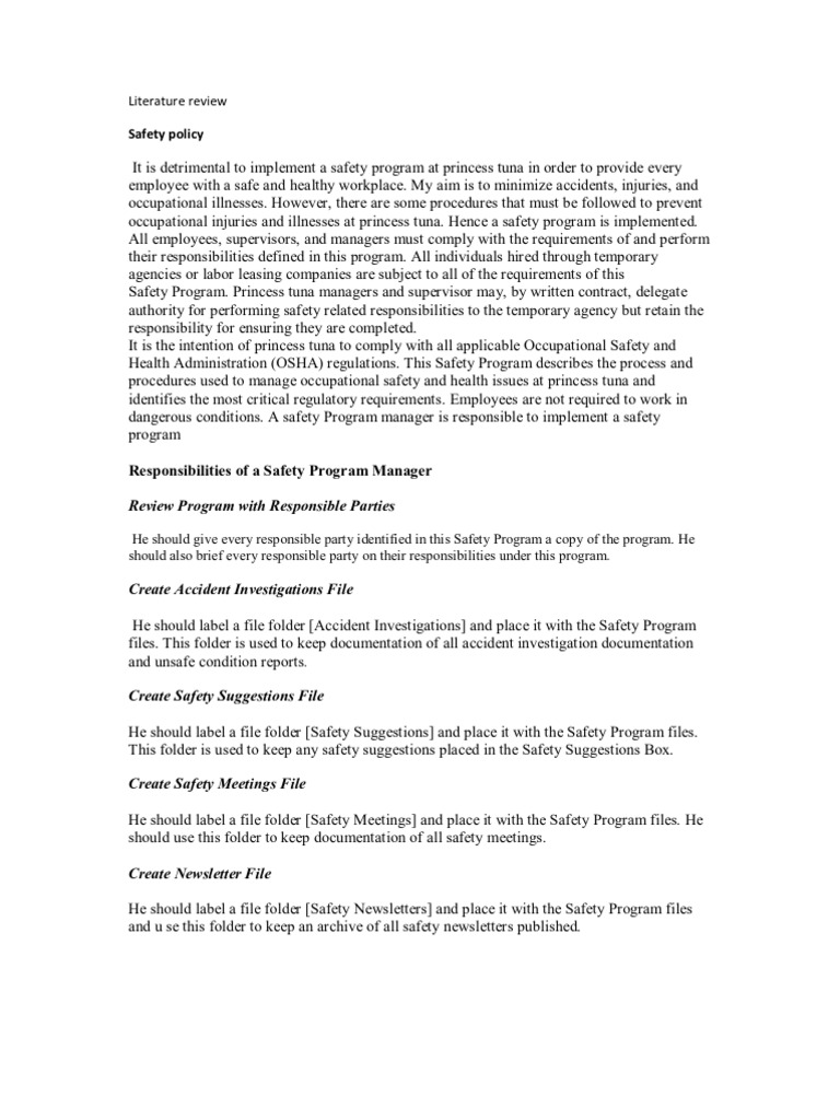 What is a literature review image