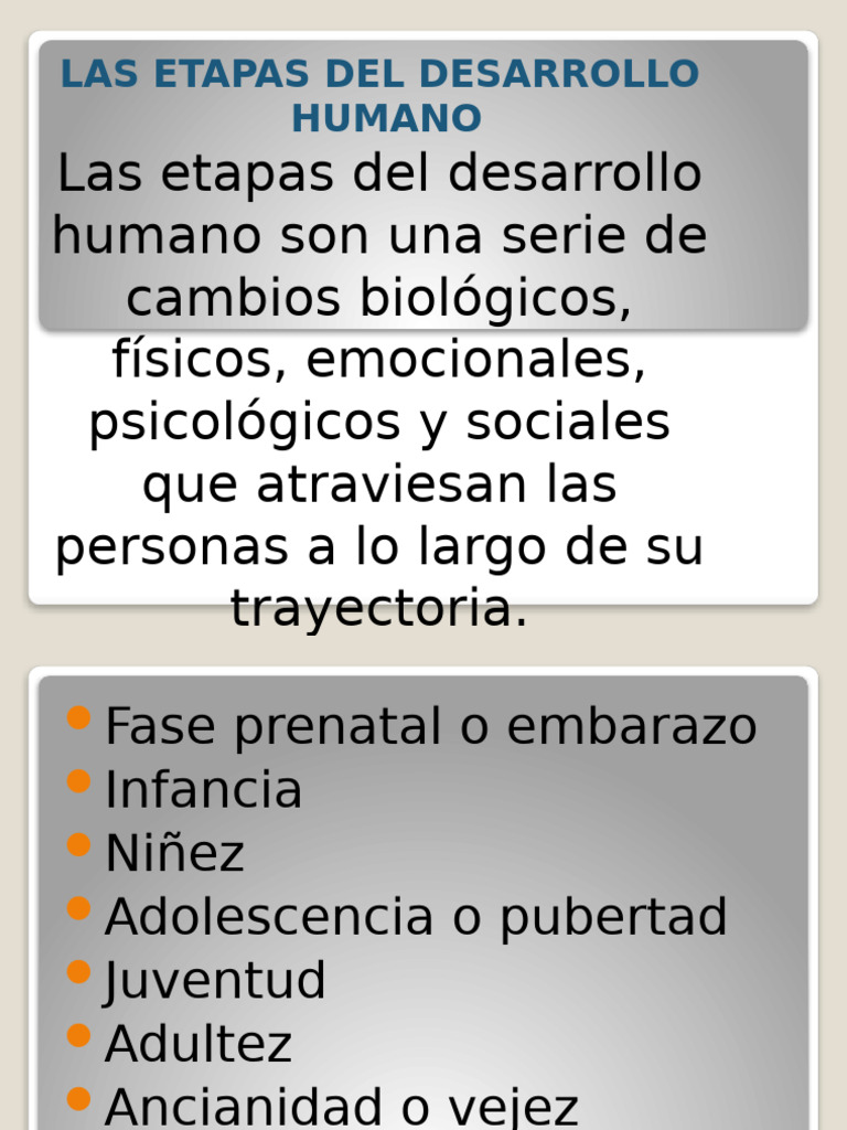 Etapas Del Desarrollo Humano | PDF | Vejez | Adultos