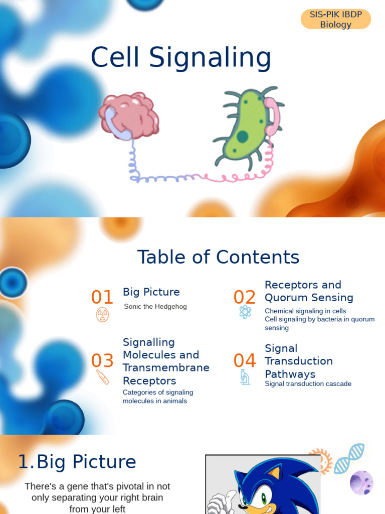 Overview of Cell Signaling Mechanisms | PDF | Cell Signaling | Signal ...
