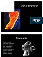 Taenia saginata: Características, ciclo de vida e prevenção da teníase bovina