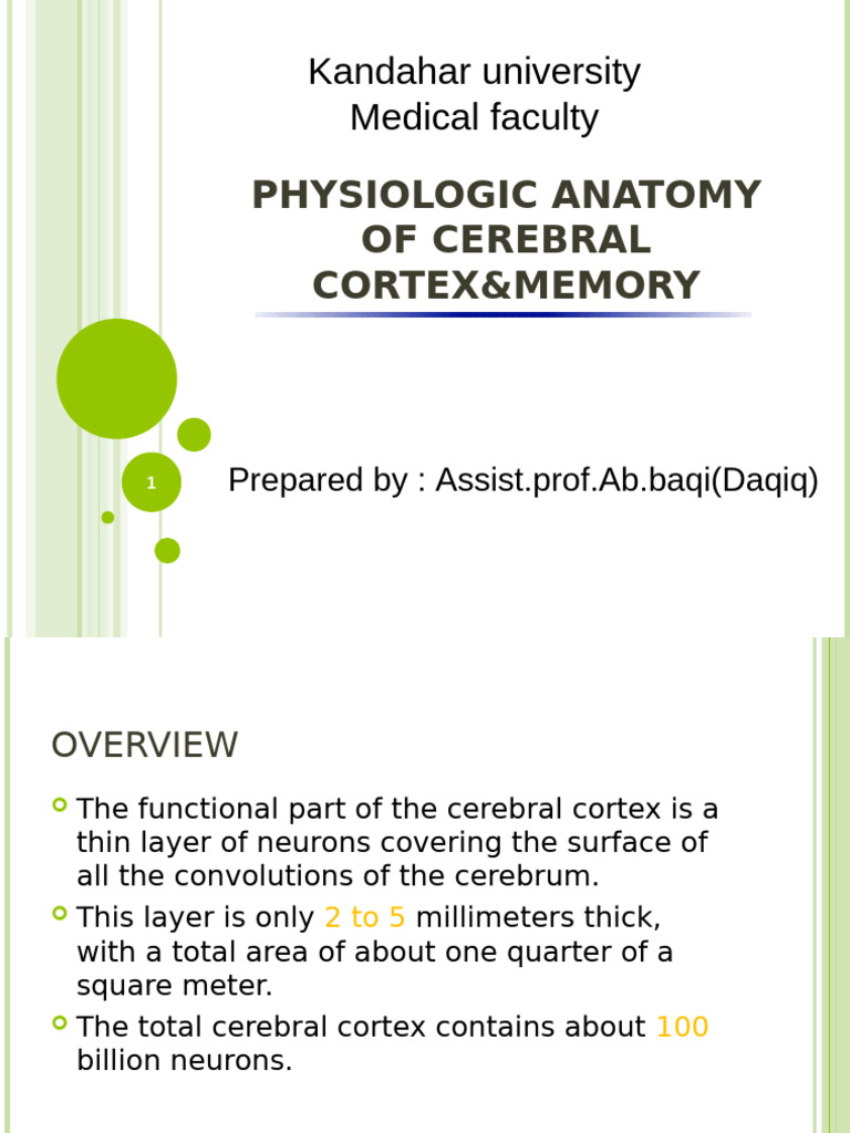 Cerebral Cortex Anatomy and Memory Functions | PDF | Cerebral Cortex ...