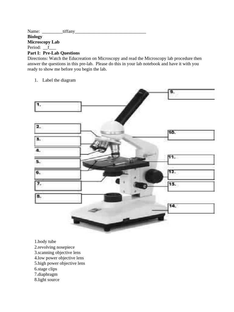 Understanding the Scanning Objective Lens | PDF