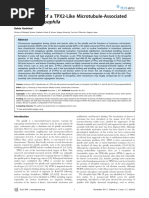How To Write A Nature Abstract | PDF | Microtubule | Cellular Processes