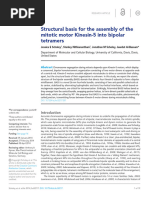 How To Write A Nature Abstract | PDF | Microtubule | Cellular Processes