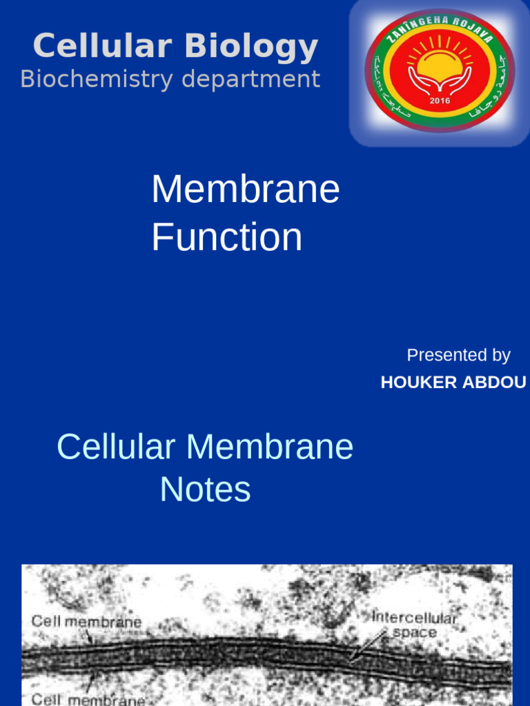 Cell Membrane Functions and Transport | PDF | Cell Membrane | Osmosis