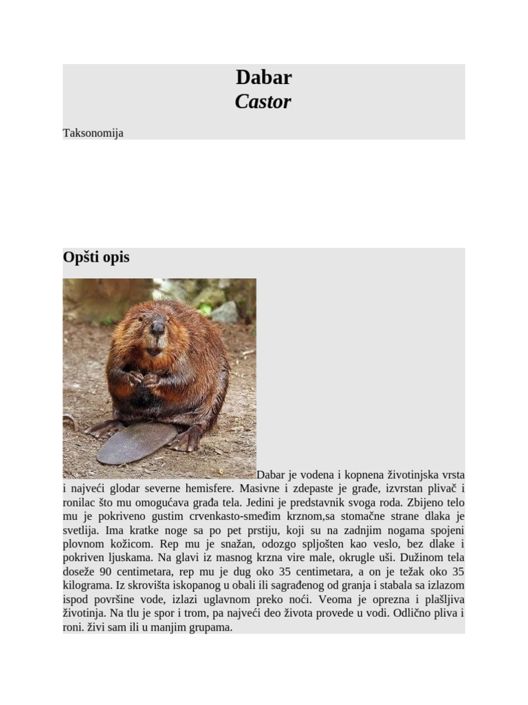 Dabar | PDF