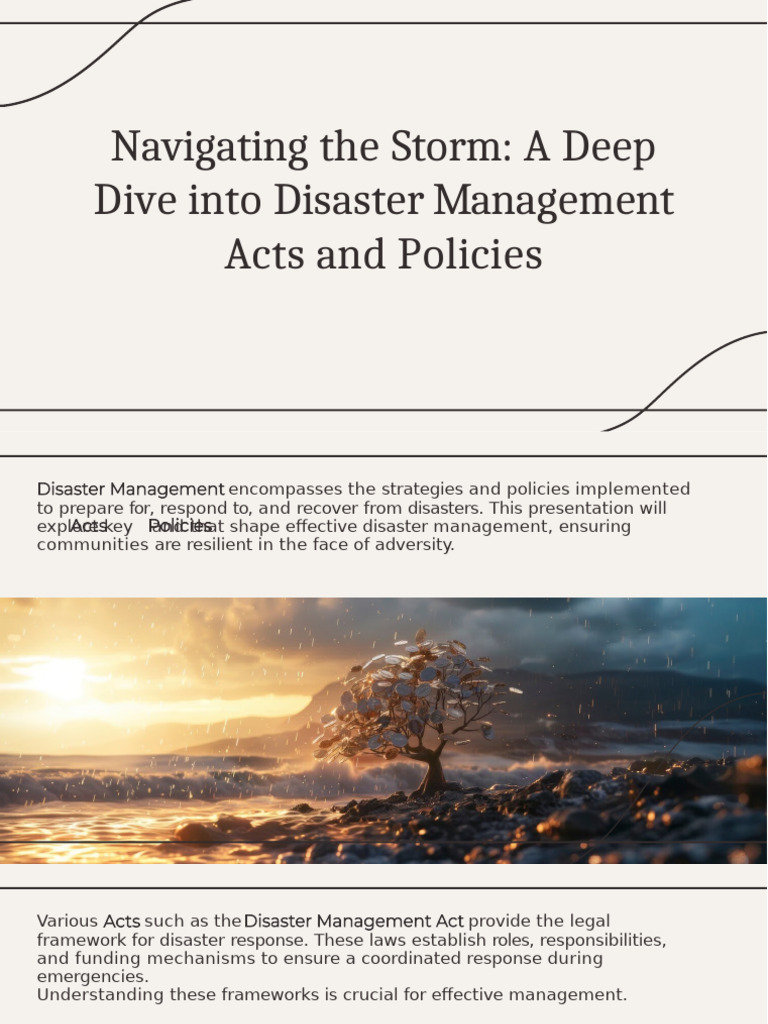 Disaster Management Policies Explained | PDF