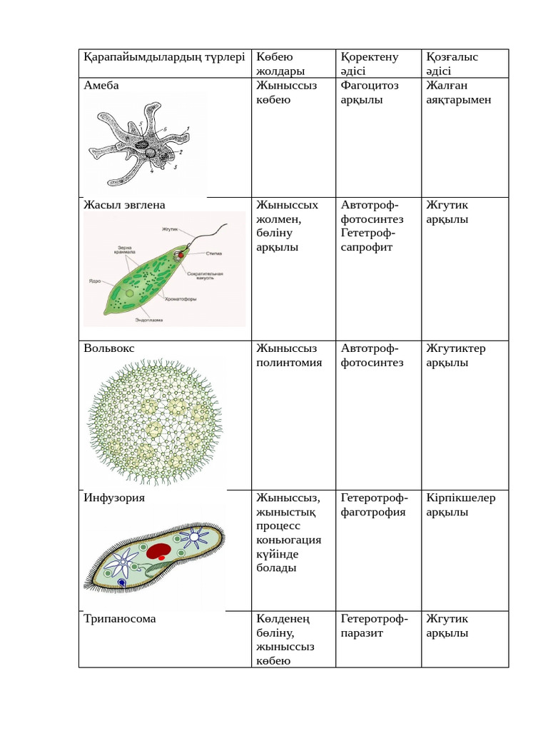 Жақын адамның сатқындығынан оргазм