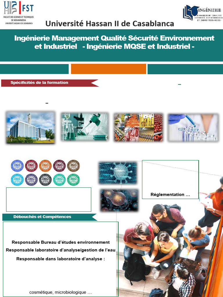 Master MQSE : Formation en Ingénierie QSE | PDF | Sécurité