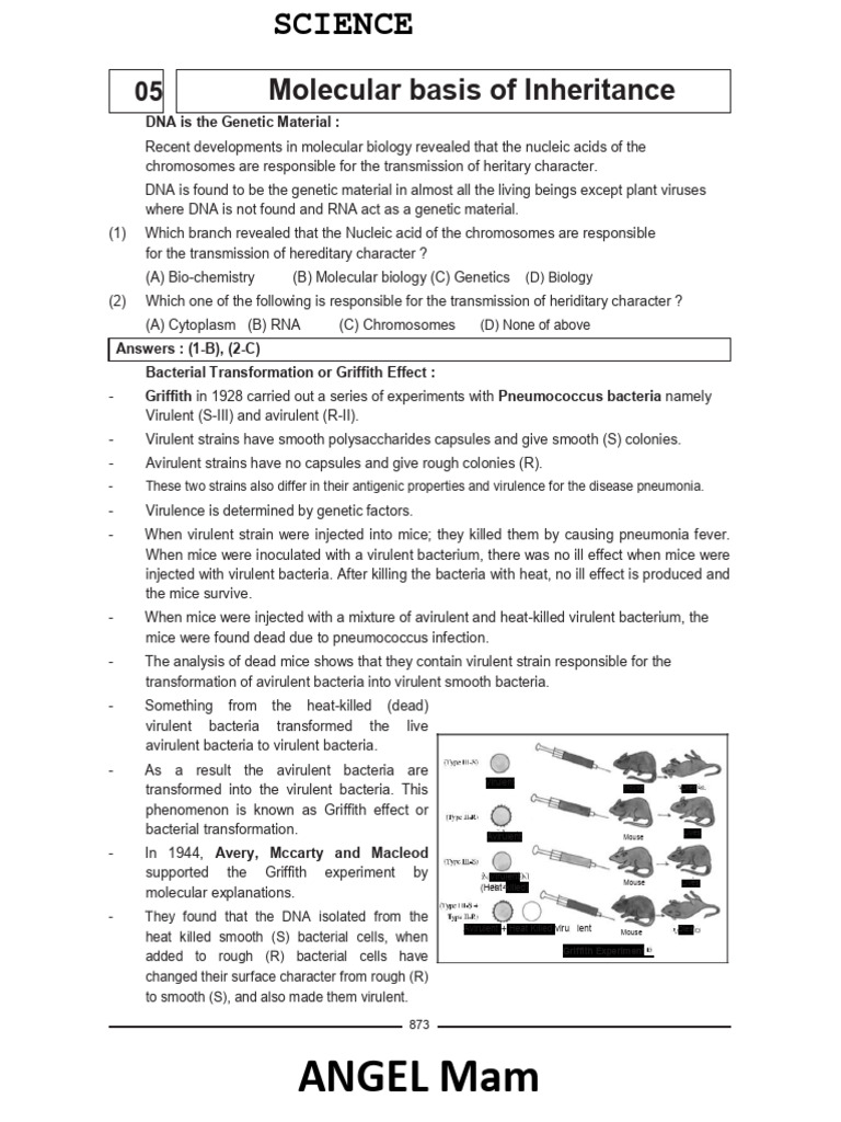 Chap 5 class 12 bio neet mcq pdf pdf operon genetic code