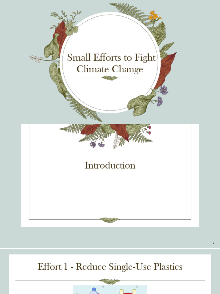Small Actions to Combat Climate Change | PDF