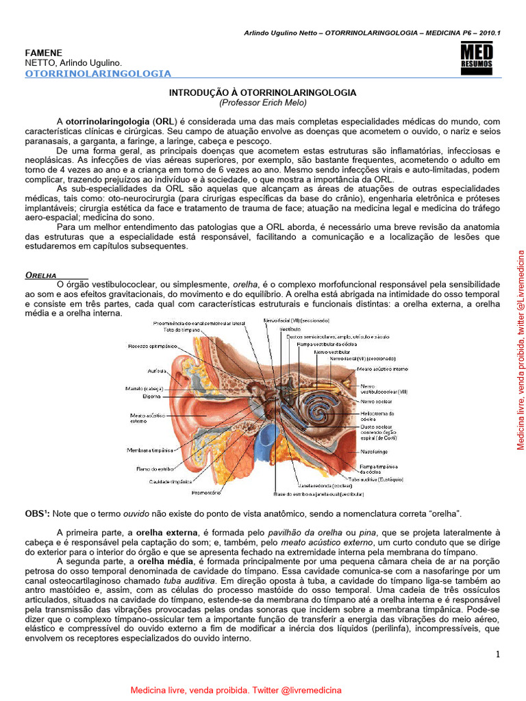 (2011) OTORRINOLARINGOLOGIA 01 - Introdução A ORL | PDF | Audição | Orelha