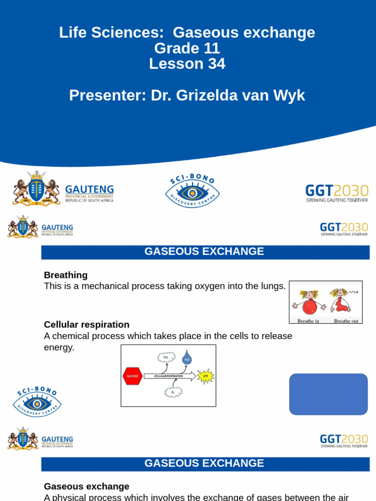 life-sciences-gr-11-lesson-34-gaseous-exchange-pdf-gases-respiration