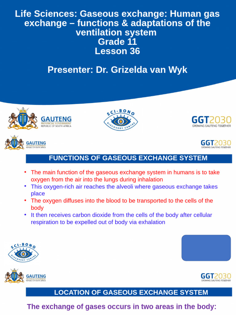 Life Sciences Gr.11 Lesson 36 Gaseous Exchange (Human Gas Exchange ...