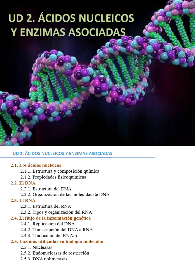 MP03 - UF2 - UD2 - AANNiENZIMS - PresentacioÌ Completa (Imatges + Text ...