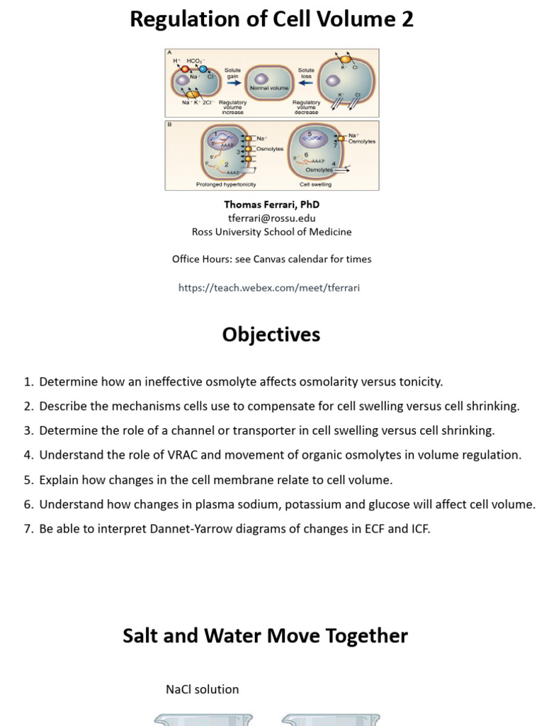 Cell Volume Regulation Mechanisms | PDF | Cell Membrane | Osmosis