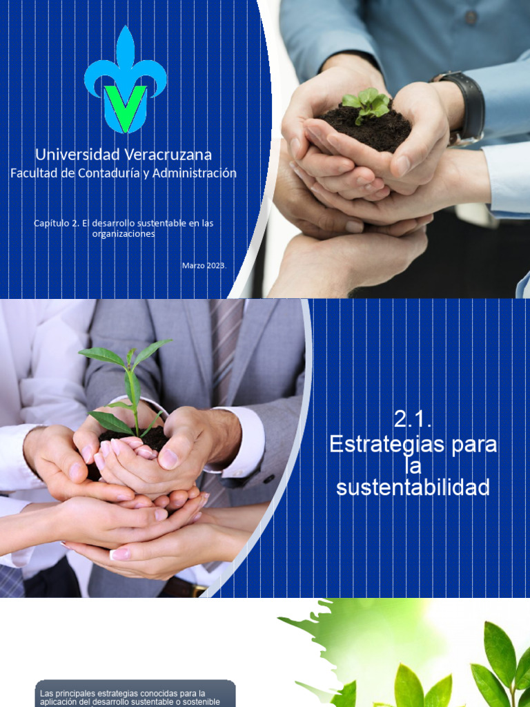 Cap. 2. El Desarrollo Sustentable en Las Organizaciones | PDF ...