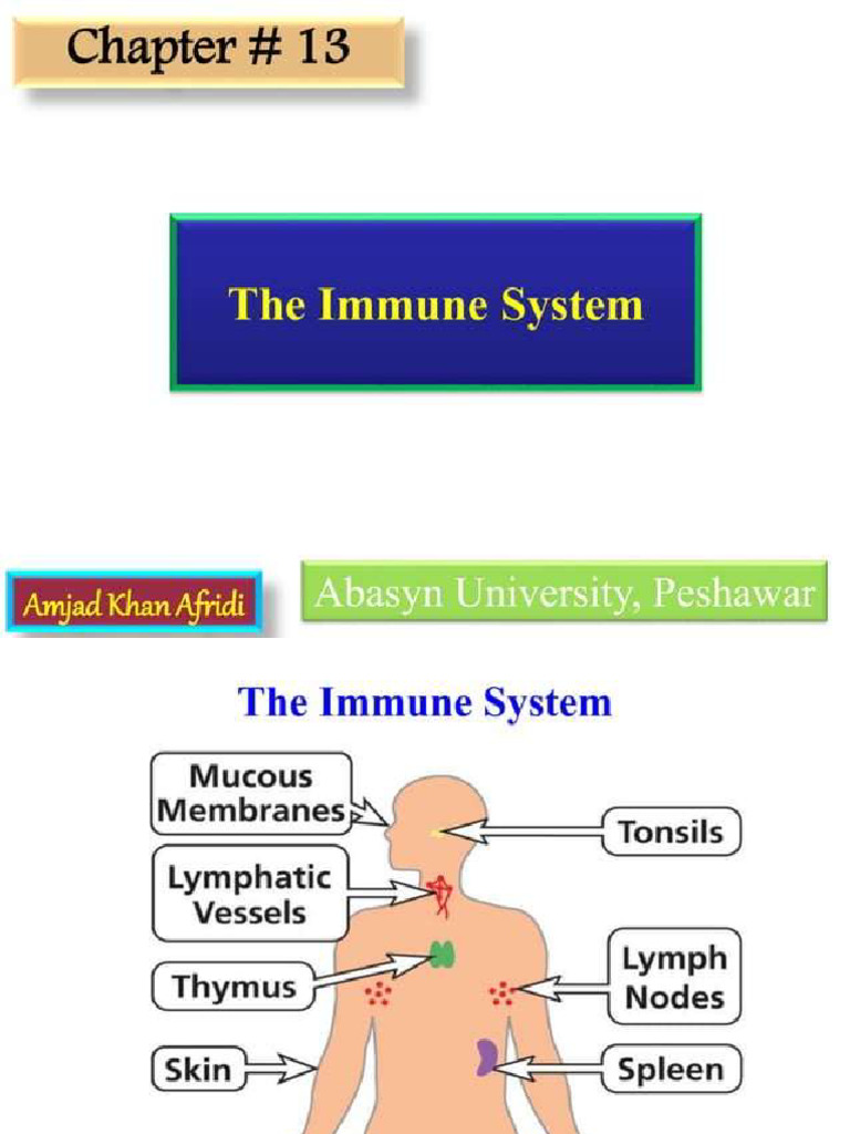 Immune System | PDF