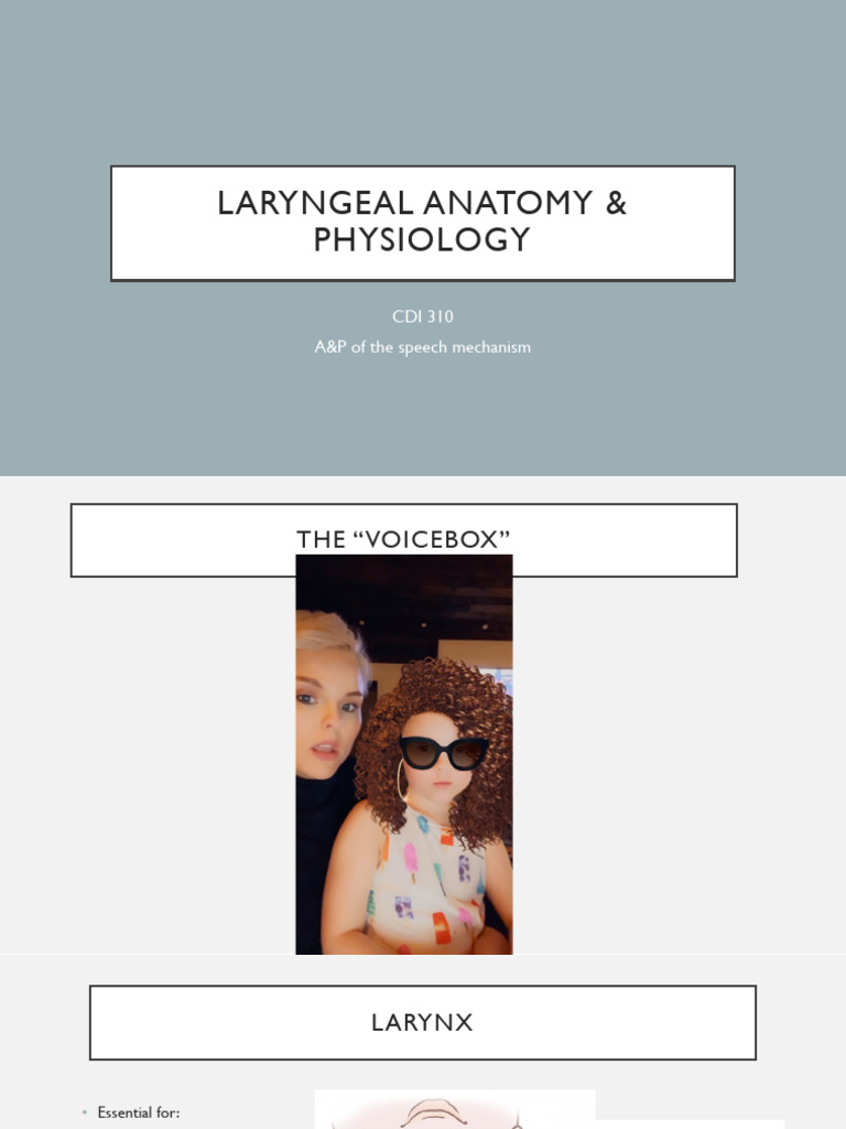 Laryngeal Anatomy and Physiology Overview | PDF | Larynx | Human Head ...