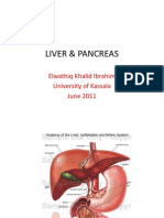 Liver & Pancreas