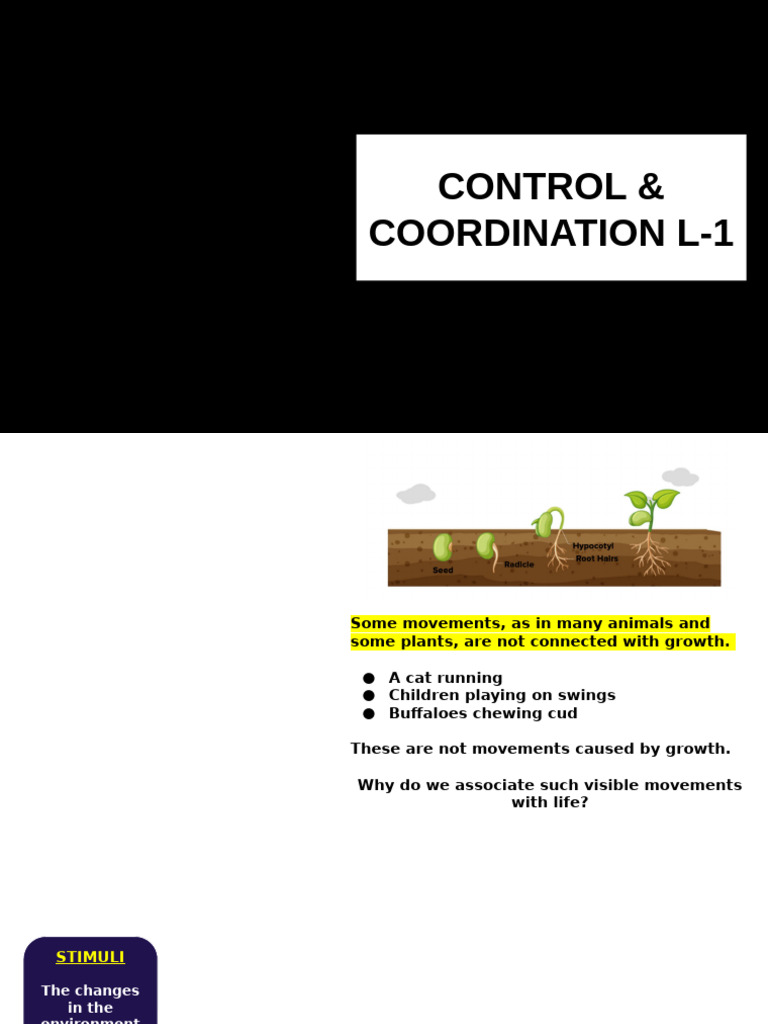 Control and Coordination in Organisms | PDF | Hormone | Endocrine System