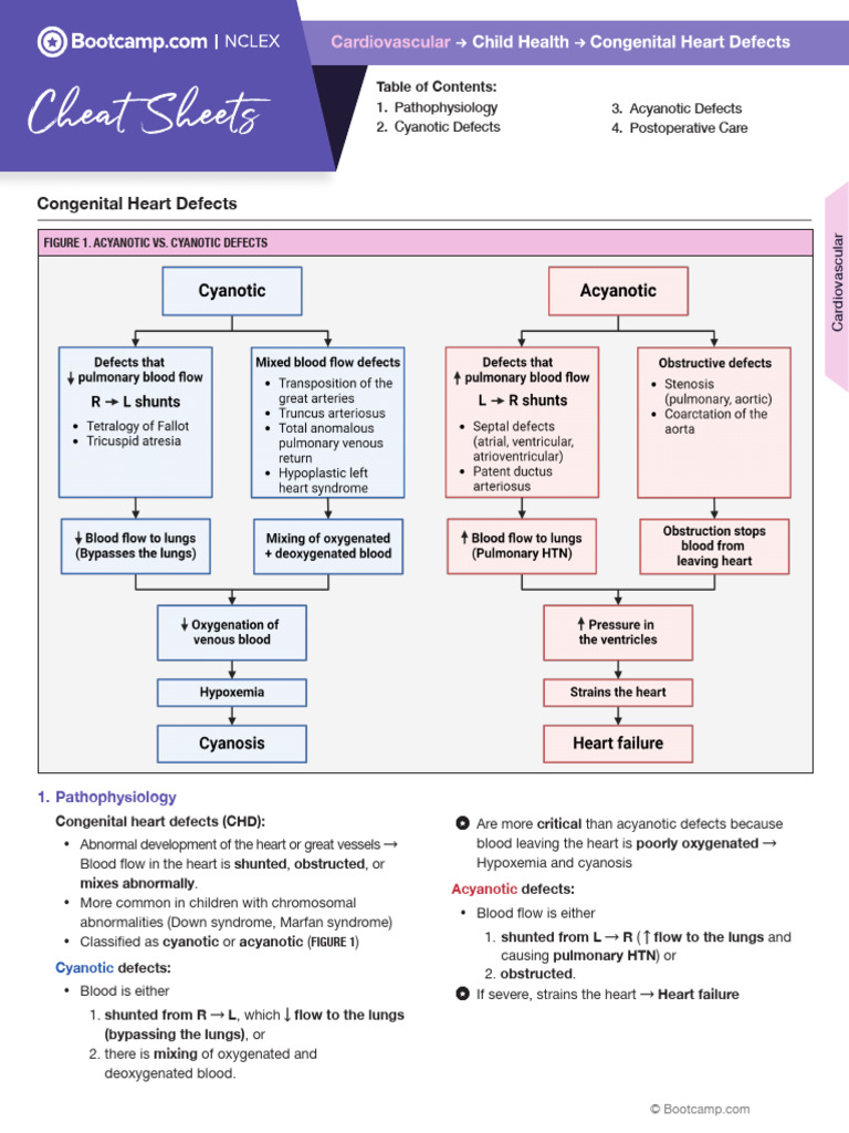 Congenital Heart Defects Pdf Angiology Diseases And Disorders