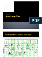 Australopithssunum