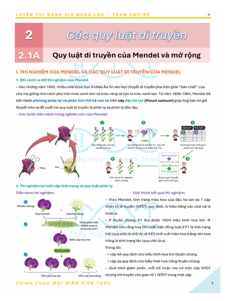 1A QUY LUẬT DI TRUYỀN CỦA MENDEL VÀ MỞ RỘNG PDF | PDF