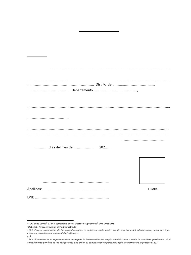 Formato de Carta Poder Simple | PDF