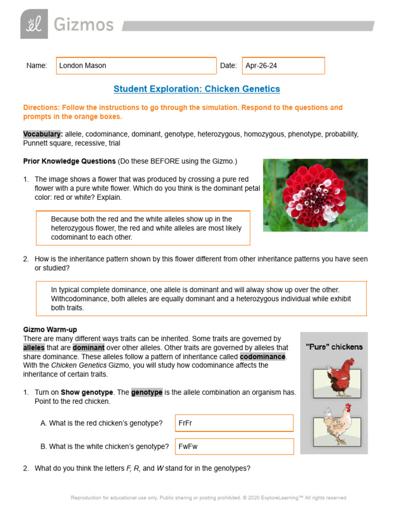 ChickenGeneticsSE | PDF | Dominance (Genetics) | Genotype