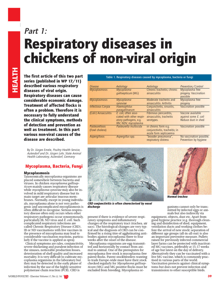 Respiratory Disease In Birds List