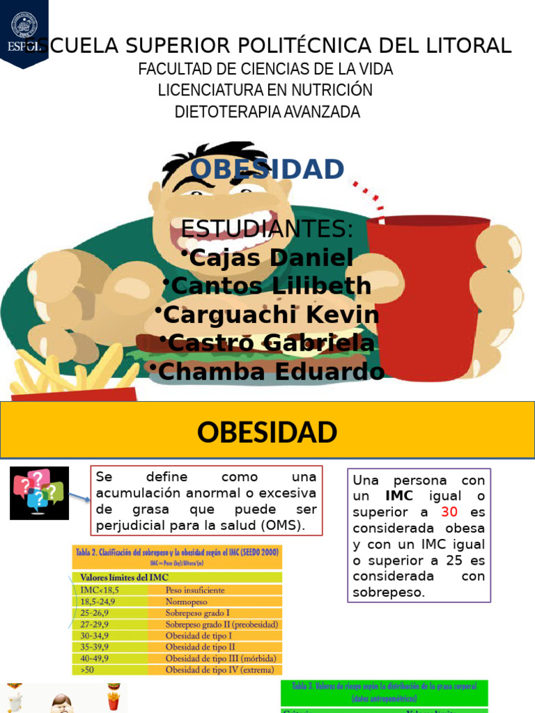 Causas y Consecuencias de la Obesidad | PDF | Obesidad | Enfermedades y ...