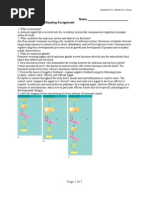 CH 45 Guided Reading