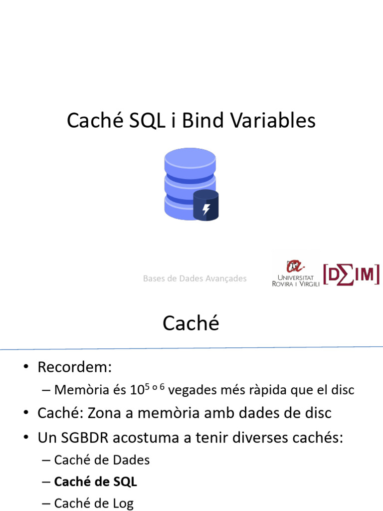 1c Cache SQL Bind Variables | PDF