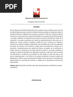 Download ESCHERICHIA COLI by Mayerli Zambrano SN78353301 doc pdf