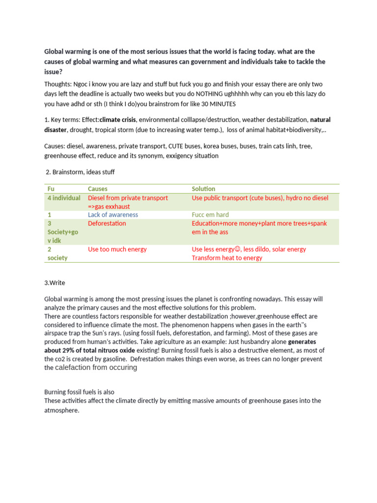 Essay Homework | PDF | Climate Change | Greenhouse Effect